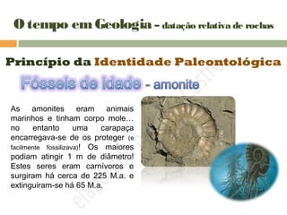 O tempo emGeologia – datação relativa de rochas
Princípio da Identidade Paleontológica
As amonites eram animais
marinhos e tinham corpo mole…
no entanto uma carapaça
encarregava-se de os proteger (e
facilmente fossilizava)! Os maiores
podiam atingir 1 m de diâmetro!
Estes seres eram carnívoros e
surgiram há cerca de 225 M.a. e
extinguiram-se há 65 M.a.
 