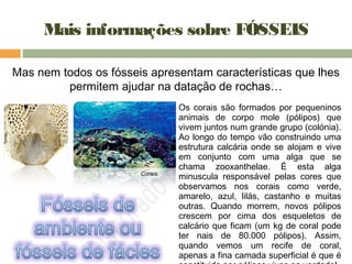 Mais informações sobre FÓSSEIS
Mas nem todos os fósseis apresentam características que lhes
permitem ajudar na datação de rochas…
Corais
Os corais são formados por pequeninos
animais de corpo mole (pólipos) que
vivem juntos num grande grupo (colónia).
Ao longo do tempo vão construindo uma
estrutura calcária onde se alojam e vive
em conjunto com uma alga que se
chama zooxanthelae. É esta alga
minuscula responsável pelas cores que
observamos nos corais como verde,
amarelo, azul, lilás, castanho e muitas
outras. Quando morrem, novos pólipos
crescem por cima dos esqueletos de
calcário que ficam (um kg de coral pode
ter nais de 80.000 pólipos). Assim,
quando vemos um recife de coral,
apenas a fina camada superficial é que é
 