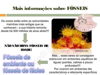 Os corais estão entre as comunidades
marinhas mais antigas que se
conhecem - a sua história remonta
desde há 500 milhões de anos atrás!!!!
NÃO SÃOBONS FÓSSEIS DE
IDADE! Pólipos de corais
Mas… estes seres só conseguem
sobreviver em ambientes aquáticos de
águas quentes, calmas e pouco
profundas!!!!
Por viverem em ambientes tão
característicos e altamente específicos
Mais informações sobre FÓSSEIS
 