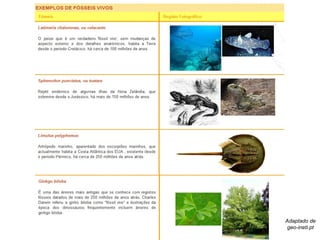 Adaptado de
geo-ineti.pt
 