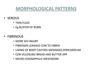 MORPHOLOGICAL PATTERNS
• SEROUS
     • THIN FLUID
     • Eg BLISTER OF BURN


• FIBRINOUS
     •   MORE SEV INJURY
     •   FIBROGEN LEAKAGE CON TO FIBRIN
     •   LINING OF BODY CAVITIES-MENINGES,PERICARDIUM
     •   COR VILLOSUM/ BREAD AND BUTTER APP
     •   MICRO-EOSINOPHILIC MESHWORK
 