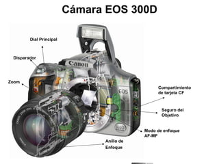 Cámara EOS 300D
Compartimiento
de tarjeta CF
Seguro del
Objetivo
Disparador
Dial Principal
Modo de enfoque
AF-MF
Anillo de
Enfoque
Zoom
 