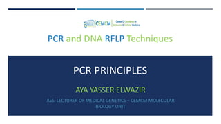 PCR and DNA RFLP Techniques
AYA YASSER ELWAZIR
ASS. LECTURER OF MEDICAL GENETICS – CEMCM MOLECULAR
BIOLOGY UNIT
PCR PRINCIPLES
 