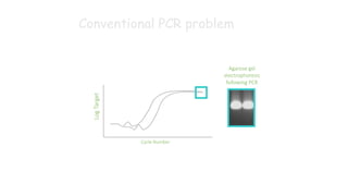 Conventional PCR problem
Log
Target
Agarose gel
electrophoresis
following PCR
Cycle Number
 