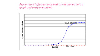 Any increase in fluorescence level can be plotted onto a
graph and easily interpreted
Virus present
No virus
Cycles
Fluorescence
level
 