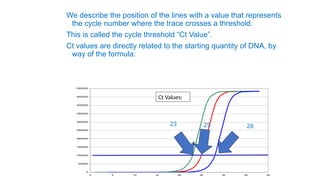 We describe the position of the lines with a value that represents
the cycle number where the trace crosses a threshold.
This is called the cycle threshold “Ct Value”.
Ct values are directly related to the starting quantity of DNA, by
way of the formula:
0
500000
1000000
1500000
2000000
2500000
3000000
3500000
4000000
4500000
5000000
0 5 10 15 20 25 30 35 40
23 25 28
Ct Values:
 