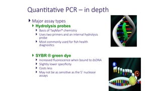 Quantitative PCR – in depth
 Major assay types
 Hydrolysis probes
 Basis of TaqMan® chemistry
 Uses two primers and an internal hydrolysis
probe
 Most commonly used for fish health
diagnostics
 SYBR ® green dye
 Increased fluorescence when bound to dsDNA
 Slightly lower specificity
 Costs less
 May not be as sensitive as the 5’ nuclease
assays
 