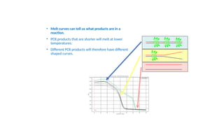 5’ 5’
3’
3’
5’
5’
3’
3’
ID ID
ID
5’
5’
3’
3’ ID
• Melt curves can tell us what products are in a
reaction.
• PCR products that are shorter will melt at lower
temperatures.
• Different PCR products will therefore have different
shaped curves.
 