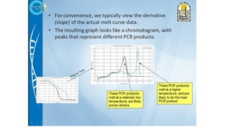 4- pcr types.pptxMolecular geatics PCR Types Basic scince