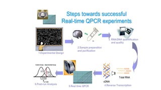 4- pcr types.pptxMolecular geatics PCR Types Basic scince