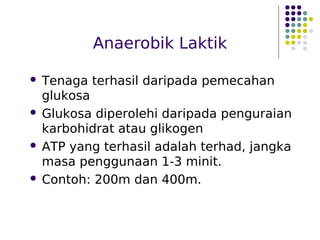 Anaerobik Laktik
 Tenaga terhasil daripada pemecahan
glukosa
 Glukosa diperolehi daripada penguraian
karbohidrat atau glikogen
 ATP yang terhasil adalah terhad, jangka
masa penggunaan 1-3 minit.
 Contoh: 200m dan 400m.
 
