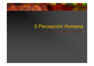 5 Percepción Humana
 