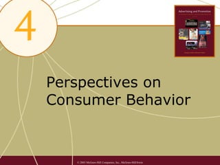 Perspectives on
Consumer Behavior


   © 2003 McGraw-Hill Companies, Inc., McGraw-Hill/Irwin
 