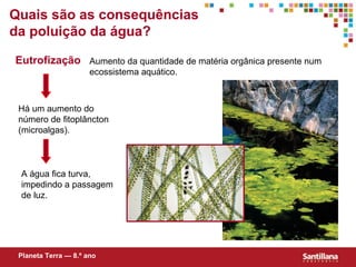 Quais s ão  as consequências da poluição da água? Aumento da quantidade de matéria orgânica presente num ecossistema aqu ático. Há um aumento do número de fitoplâncton (microalgas). A água fica turva, impedindo a passagem de luz.  Eutrofização Planeta Terra — 8.º ano 