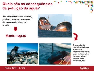 Quais s ão  as consequências da poluição da água? Em acidentes com navios, podem ocorrer derrames de combustível ou de crude. Marés negras A ingestão de produtos tóxicos e a perda de impermeabilizaç ão , pode matar muitos de seres vivos: lontras, aves marinhas, etc. Planeta Terra — 8.º ano 