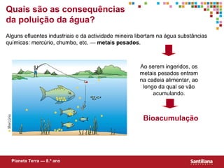 Quais s ão  as consequências da poluição da água? Alguns efluentes industriais e da actividade mineira libertam na água substâncias químicas: mercúrio, chumbo, etc. —  metais pesados . Ao serem ingeridos, os metais pesados entram na cadeia alimentar, ao longo da qual se vão acumulando. Bioacumulação Planeta Terra — 8.º ano 