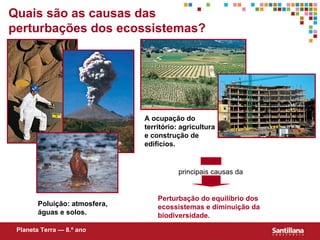 Quais s ão  as causas das perturbações dos ecossistemas? A ocupação do território: agricultura e construção de edifícios. Perturbação do equilíbrio dos ecossistemas e diminuição da biodiversidade. Poluição: atmosfera, águas e solos. Planeta Terra — 8.º ano principais causas da 