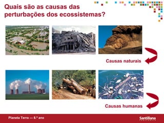 Quais s ão  as causas das perturbações dos ecossistemas? Causas naturais Causas humanas Planeta Terra — 8.º ano 