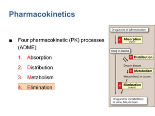 Comprehensive Overview of Pharmacokinetics: ADME Processes and Drug ...