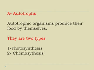A- Autotrophs
Autotrophic organisms produce their
food by themselves.
They are two types
1-Photosynthesis
2- Chemosythesis
 