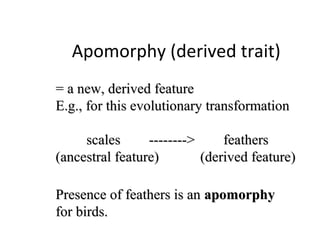 Apomorphy (derived trait) 
= a new, derived feature 
E.g., for this evolutionary transformation 
scales -------- feathers 
(ancestral feature) (derived feature) 
Presence of feathers is an apomorphy 
for birds. 
 