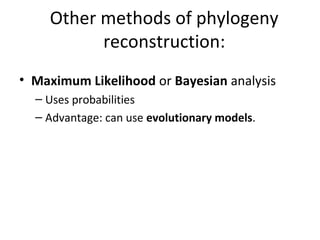 Other methods of phylogeny 
reconstruction: 
• Maximum Likelihood or Bayesian analysis 
– Uses probabilities 
– Advantage: can use evolutionary models. 
 