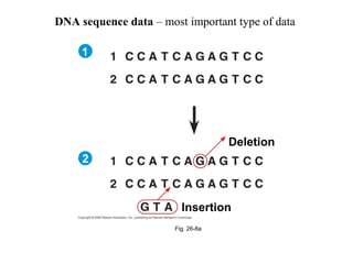 DNA sequence data – most important type of data 
Fig. 26-8a 
Deletion 
Insertion 
1 
2 
 