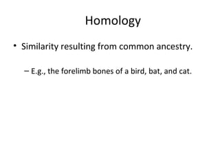 Homology 
• Similarity resulting from common ancestry. 
– E.g., the forelimb bones of a bird, bat, and cat. 
 
