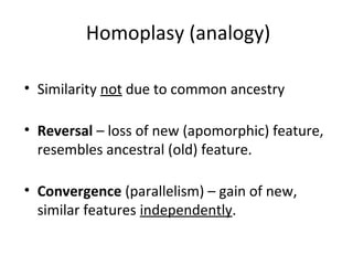 Homoplasy (analogy) 
• Similarity not due to common ancestry 
• Reversal – loss of new (apomorphic) feature, 
resembles ancestral (old) feature. 
• Convergence (parallelism) – gain of new, 
similar features independently. 
 