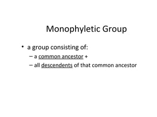 Monophyletic Group 
• a group consisting of: 
– a common ancestor + 
– all descendents of that common ancestor 
 