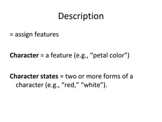 Description 
= assign features 
Character = a feature (e.g., “petal color”) 
Character states = two or more forms of a 
character (e.g., “red,” “white”). 
 
