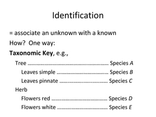 Identification 
= associate an unknown with a known 
How? One way: 
Taxonomic Key, e.g., 
Tree …………………………………….…………… Species A 
Leaves simple …….………………………… Species B 
Leaves pinnate …….………..…..…..…… Species C 
Herb 
Flowers red …….…………………………… Species D 
Flowers white …….…………………..…… Species E 
 