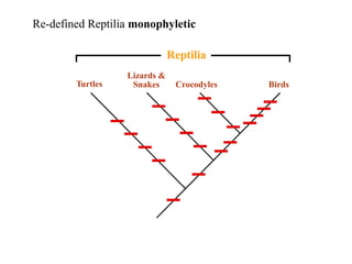 Re-defined Reptilia monophyletic 
Lizards  
Reptilia 
Turtles Snakes Crocodyles Birds 
 