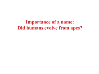 Importance of a name: 
Did humans evolve from apes? 
 