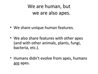 We are human, but 
we are also apes. 
• We share unique human features. 
• We also share features with other apes 
(and with other animals, plants, fungi, 
bacteria, etc.). 
• Humans didn’t evolve from apes, humans 
are apes. 
 