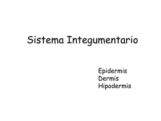 Sistema Integumentario
Epidermis
Dermis
Hipodermis

 