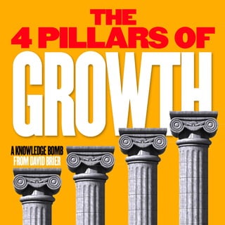 The 4 Pillars of Growth by David Brier