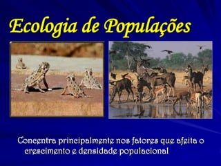 Ecologia de Populações 
Concentra principalmente nos fatores que afeita o crescimento e densidade populacional  