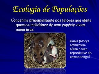 Ecologia de Populações 
Concentra principalmente nos fatores que afeita quantos indivíduos de uma espécie vivem numa área 
Quais fatores 
ambientais 
afeita a taxa 
reprodutivo do 
camundongo?  