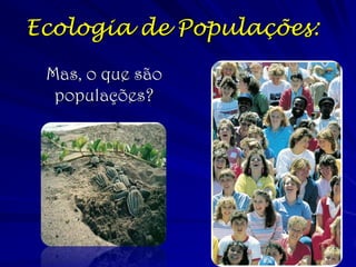 Ecologia de Populações: 
Mas, o que são populações?  
