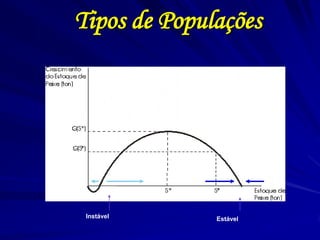 S1 
S2 
S 
S 
S 
S 
Instável 
Estável 
Tipos de Populações  