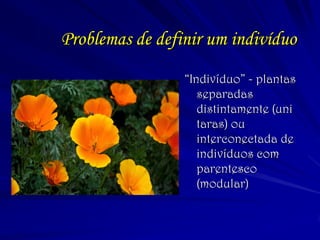 Problemas de definir um indivíduo 
“Indivíduo” - plantas separadas distintamente (uni taras) ou interconectada de indivíduos com parentesco (modular)  