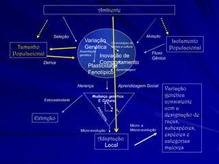 Seleção 
Deriva 
Fluxo 
Gênico 
Ambiente 
Isolamento 
Populacional 
Tamanho 
Populacional 
Aprendizagem Social 
Mutação 
Adaptação 
Local 
Extinção 
Variação genética consistente com a designação de raças, subespécies, espécies e categorias maiores 
Estocasticidade 
Variação 
Genética 
Inovação de 
Comportamento 
Plasticidade 
Fenotípico 
Assimilação 
genética 
Aprendizagem 
Co-evolulçao de 
Genes e cultura 
Herança 
Mudança genética 
E Cultural 
Ne 
λ 
Micro-evolução 
Micro- a 
Macro-evolução  