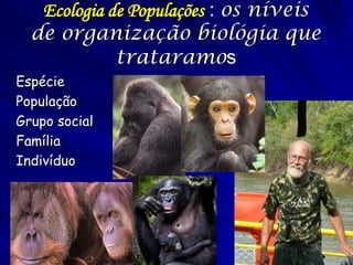 Espécie 
População 
Grupo social 
Família 
Indivíduo 
Ecologia de Populações : os níveis de organização biológia que trataramos  