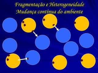 Fragmentação e Heterogeneidade Mudança contínua do ambiente  