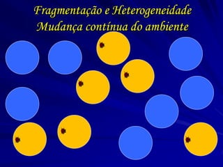Fragmentação e Heterogeneidade Mudança contínua do ambiente  