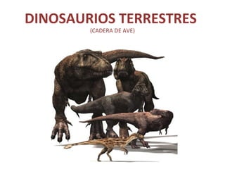 DINOSAURIOS TERRESTRES
        (CADERA DE AVE)
 