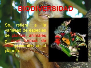 BIODIVERSIDAD
Se refiere a la
variedad de especies
de plantas, animales
y otras formas de
vida presentes en el
planeta.
 