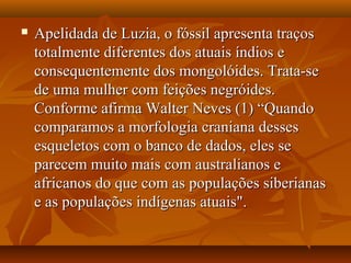  Apelidada de Luzia, o fóssil apresenta traçosApelidada de Luzia, o fóssil apresenta traços
totalmente diferentes dos atuais índios etotalmente diferentes dos atuais índios e
consequentemente dos mongolóides. Trata-seconsequentemente dos mongolóides. Trata-se
de uma mulher com feições negróides.de uma mulher com feições negróides.
Conforme afirma Walter Neves (1) “QuandoConforme afirma Walter Neves (1) “Quando
comparamos a morfologia craniana dessescomparamos a morfologia craniana desses
esqueletos com o banco de dados, eles seesqueletos com o banco de dados, eles se
parecem muito mais com australianos eparecem muito mais com australianos e
africanos do que com as populações siberianasafricanos do que com as populações siberianas
e as populações indígenas atuais".e as populações indígenas atuais".
 