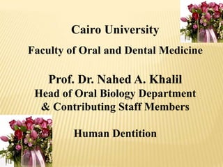 Cairo University
Faculty of Oral and Dental Medicine

Prof. Dr. Nahed A. Khalil
Head of Oral Biology Department
& Contributing Staff Members
Human Dentition

 